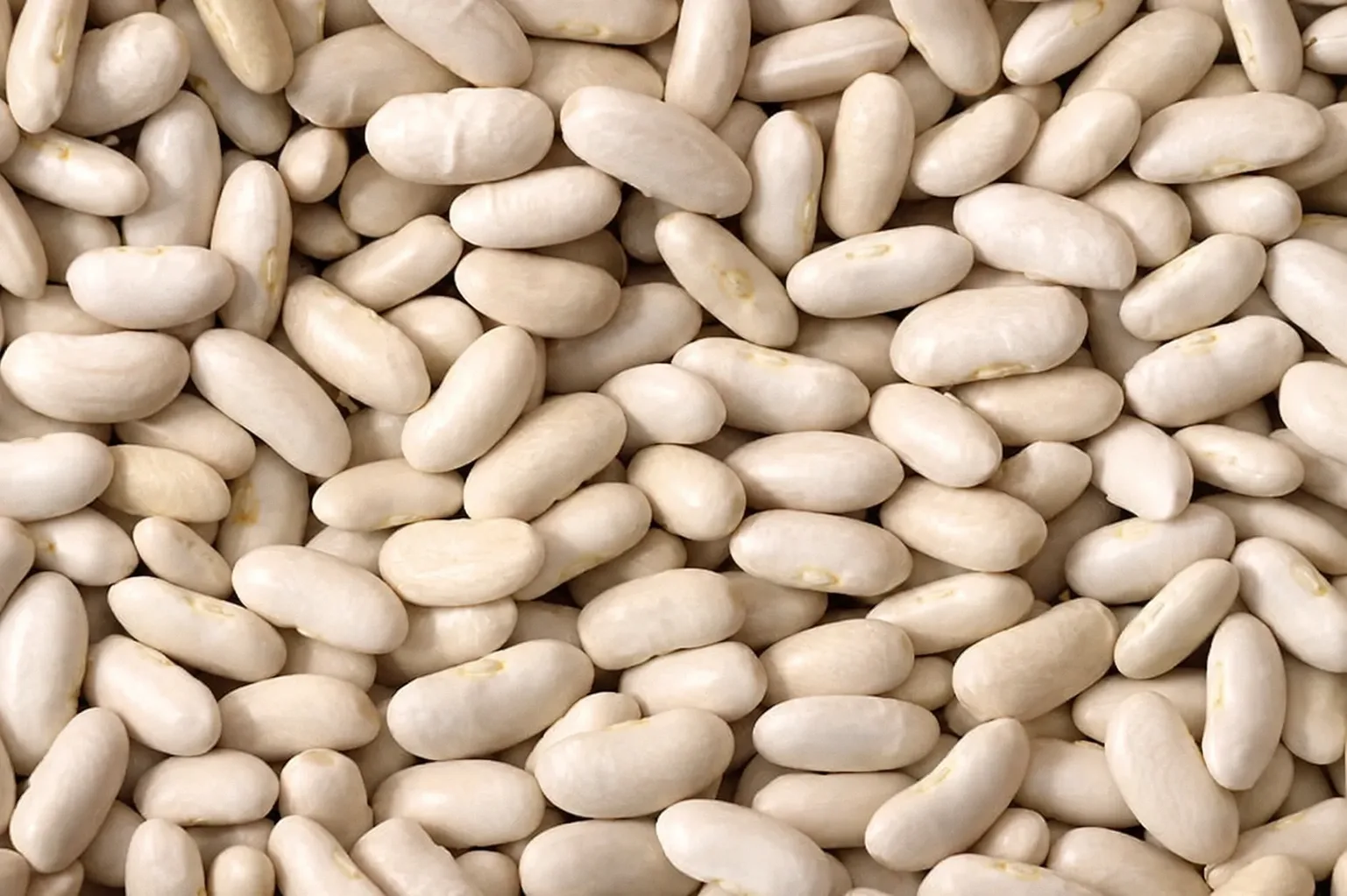 White Kidney Beans — pulses sourced from Ethiopia