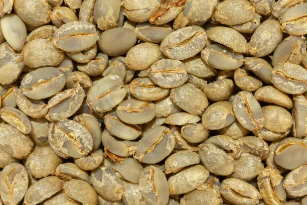 Lekempti (Nekemte) — coffee sourced from Lekempti, Ethiopia