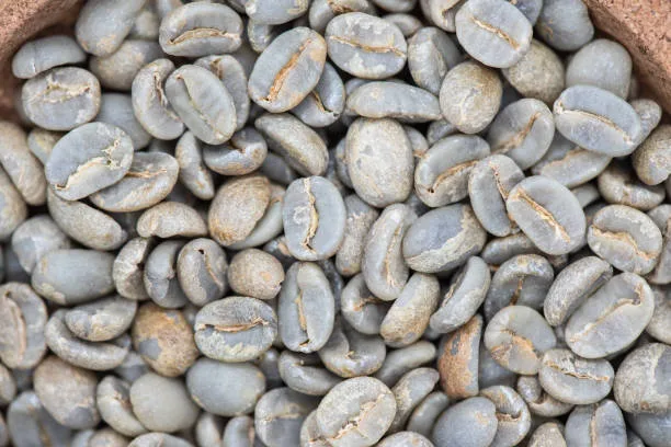 Bench Maji — coffee sourced from Bench Maji, Ethiopia