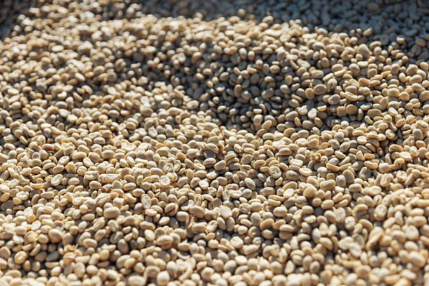 Jimma — coffee sourced from Jimma, Ethiopia