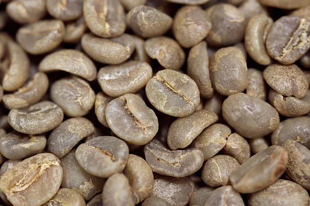 Guji — coffee sourced from Guji, Ethiopia