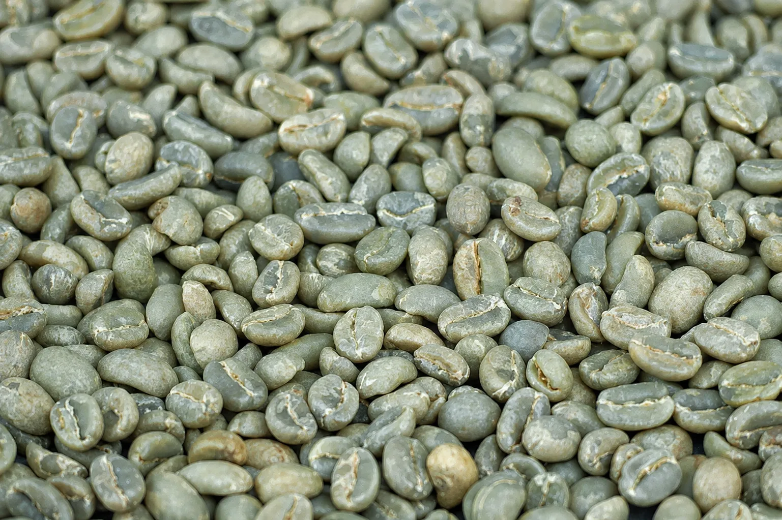 Sidamo — coffee sourced from Sidamo, Ethiopia