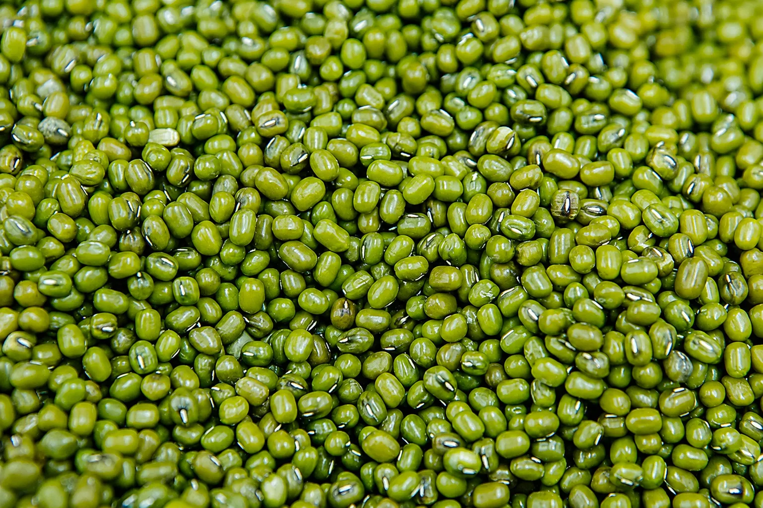 Green Mung Bean — pulses sourced from wollega, Ethiopia